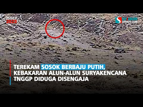 Terekam Sosok Berbaju Putih, Kebakaran Alun-alun Suryakencana TNGGP Diduga Disengaja