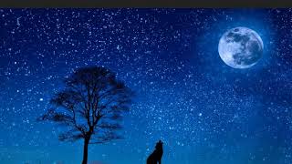 &quot;If Only&quot; Holes (2017 version)