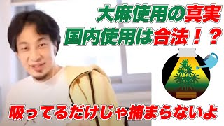 - 大麻のことを詳しく教えます#shorts