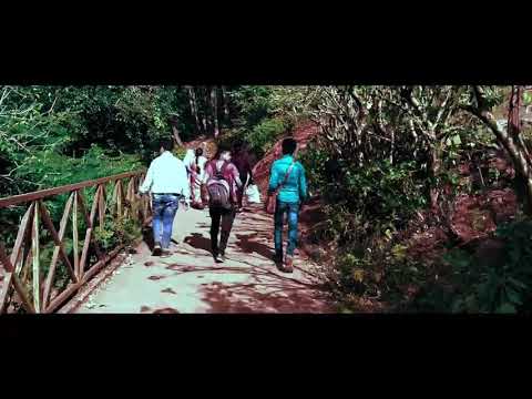 Amarkantak jonerny (yatra)#video #nature #photography #views #popular#status #amarkantak #narmada