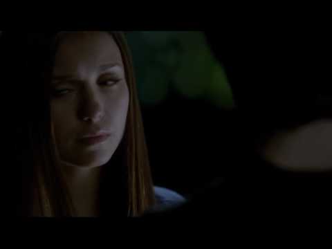 Elena, Damon und Stefan Stafel 4 - weil ich nicht sein will wie...