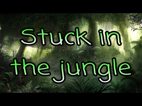 Tangerina video