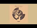 Miguel Migs Feat.Lisa Shaw - Waterfall (Original Vocal)