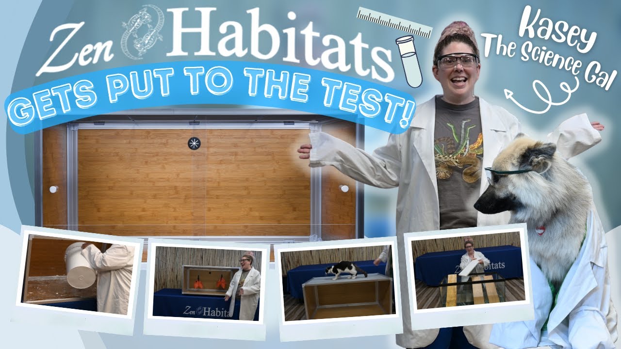 We Put Zen Habitats Products TO THE TEST! | Testing The Zen Habitats Reptile Enclosure and MORE!