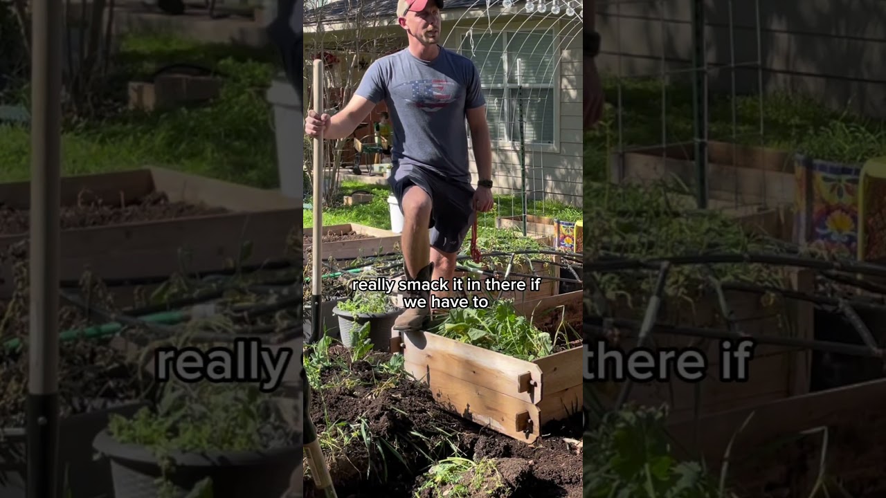 1st rule of gardening. Don't ask how the Honey Do List gets done.