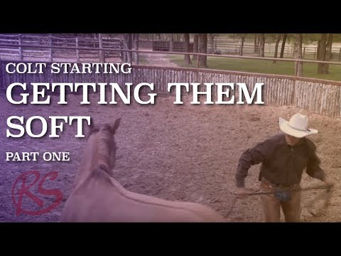 Colt Starting:  Getting them Soft Part 1