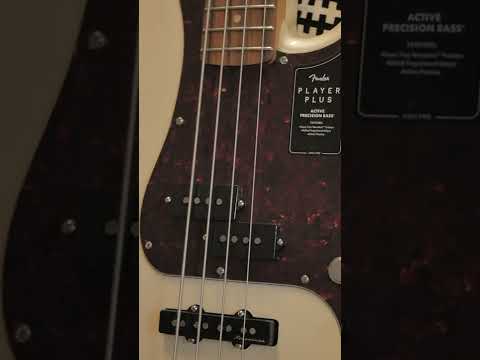@fender player plus active P bass in Olympic white. Demoed by Dara Abduharman #fender #shorts