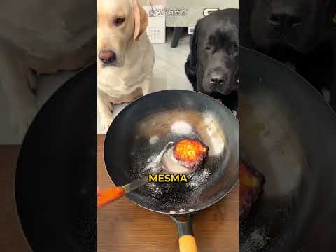 Os cachorros estavam brigando por um pepino, então ela teve essa ideia!