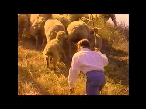 Thumbnail for Great Is Thy Faithfulness video