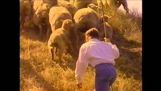 Great Is Thy Faithfulness