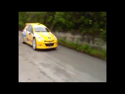 CIR Targa Florio x2 Pegeuot 207 S2000, x2 Renault Clio S1600, Fiat Punto S1600