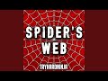 Spider's Web