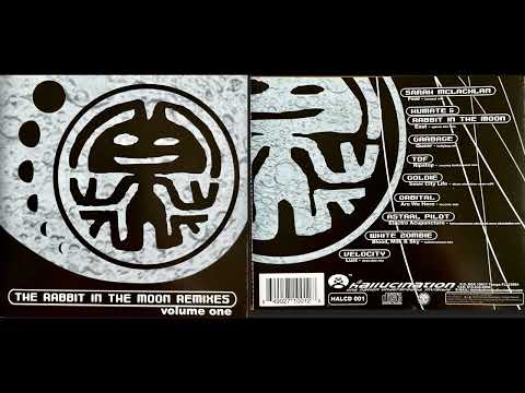 Rabbit in the Moon - The Remixes, Vol. 1 (1998) (Classic Electronica Album) [HQ]