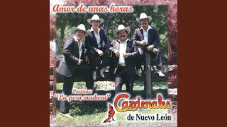 Amor De Unas Horas