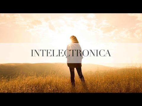 Diversion & Tania Zygar - On Your Mind (Extended Mix)