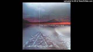 Project Pitchfork - 02-Tal Der Dornen