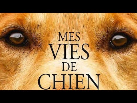 Ciné club du Vendredi - épisode 37 - Mes vies de chien