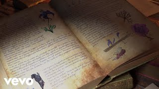 Fantasia Music Video