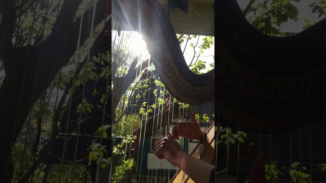 Promotional video thumbnail 3 for Kathlyn Kinney