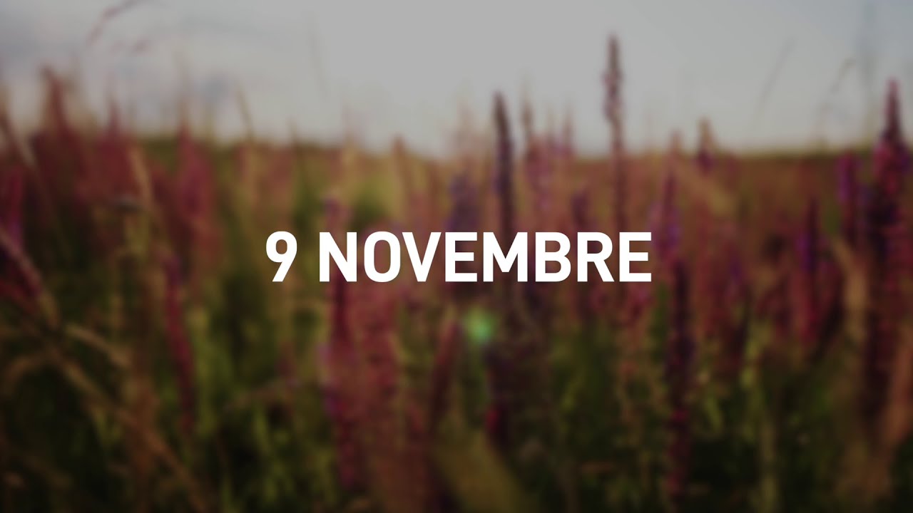 9 Novembre 2025 | Meditazione Parole di Vita