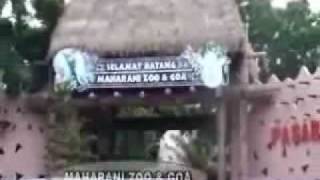 preview picture of video 'maharani ZOO&GOA'