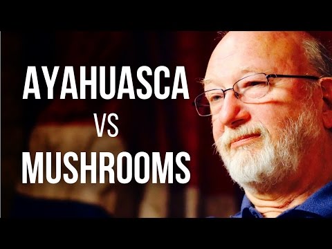 AYAHUASCA vs MUSHROOMS - Dennis McKenna on DMT & Psilocybin