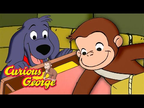 What a Good Dog! 🐵 Curious George 🐵 Kids Cartoon 🐵 Kids Movies