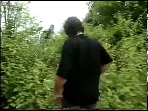 85 (1995) De wereld van Boudewijn Buch - Brazilië: Fernando de Noronha