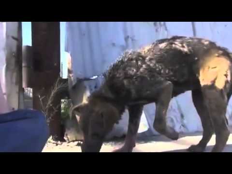 A Simple Act of Kindness