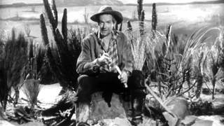 Movie Theater Intermissions - Merry Christmas and a Happy New Year! (1948)