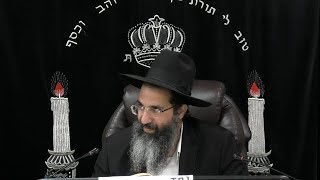 הלכות שבת - רלג' - המוציא ראשו ורובו מרשות לרשות | אורח חיים - סימן שנ - שנב | חלק 647 | הרב שי עובד (הרב שי עובד) - התמונה מוצגת ישירות מתוך אתר האינטרנט יוטיוב. זכויות היוצרים בתמונה שייכות ליוצרה. קישור קרדיט למקור התוכן נמצא בתוך דף הסרטון