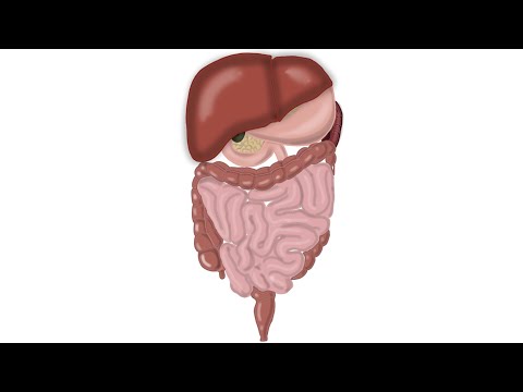 Basic abdominal examination demo
