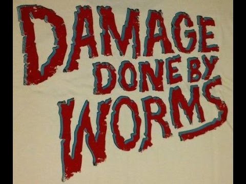 Damage Done By Worms - Take Me Away