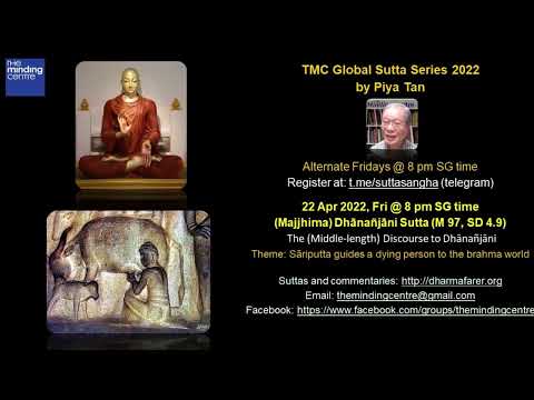 TMCGSS-8 Dhānañjāni Sutta (M 97, SD 4.9). Piya Tan 220422