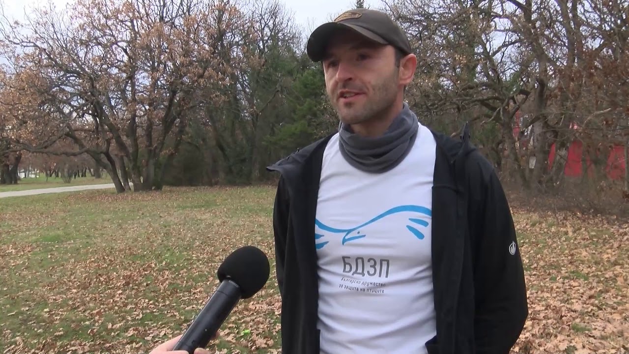 Необичайна среща между вълк и куче в парк Кенана