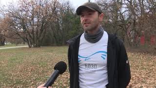 Необичайна среща между вълк и куче в парк Кенана