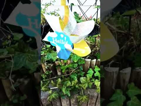 アイビーは木に悪いですか？カットすべきでしょうか？  庭園