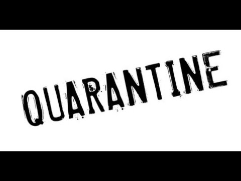 CORONA PANIC | AN ADAPTATION EXPERIMENT TO DIGITAL LIFE 😷💻