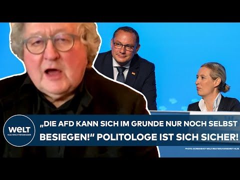 DEUTSCHLAND: "Die AfD kann sich im Grunde nur noch selbst besiegen!" Politologe ist sich sicher