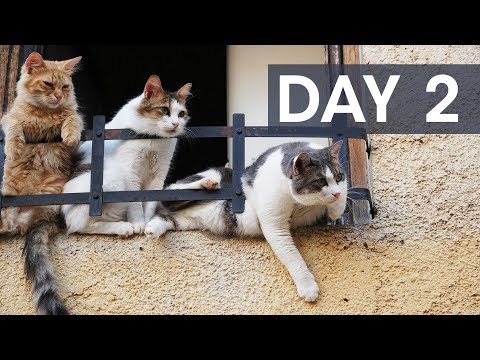 Bastia to Calvi, Corsica by Train - Vlogging for Self Improvement - Day 2