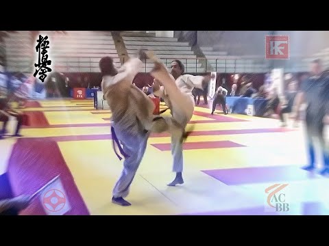 Demi-finale Veteran Kyokushin 2019 France
