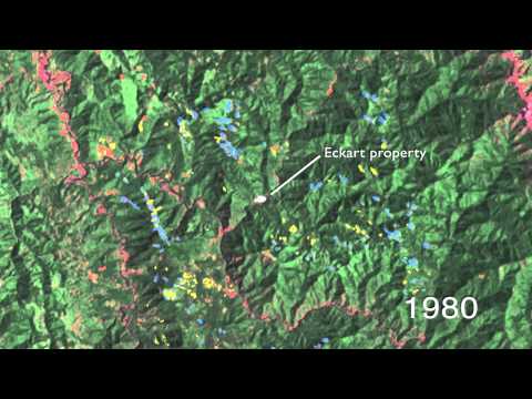 Changes In Trinity County Calif
