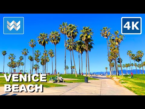 [4K] Morning Walk at Venice Beach in Los Angeles, California USA Walking Tour & Travel Guide 🎧