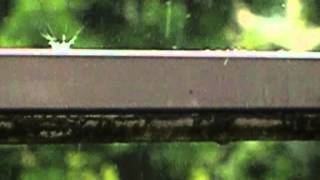 Åskar - Kanske ett omen