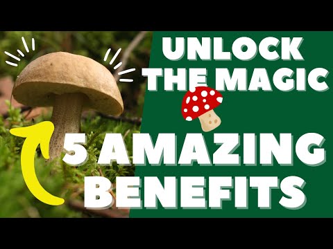 🍄Unlock the Magic:5 Amazing Health Benefits of Mushrooms You Need to Know!