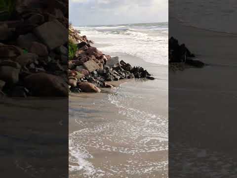 aguas dulces rocha 🎣💪💪#pesca #fishing