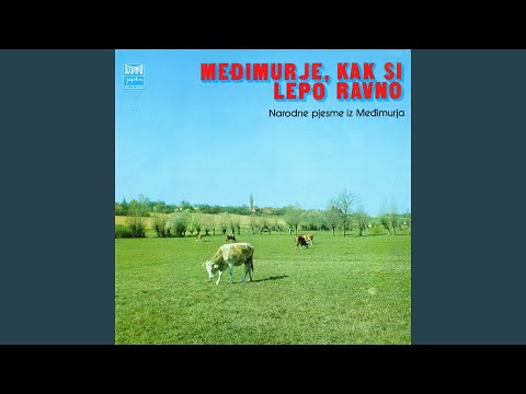 Komaj Sam Se Oženil