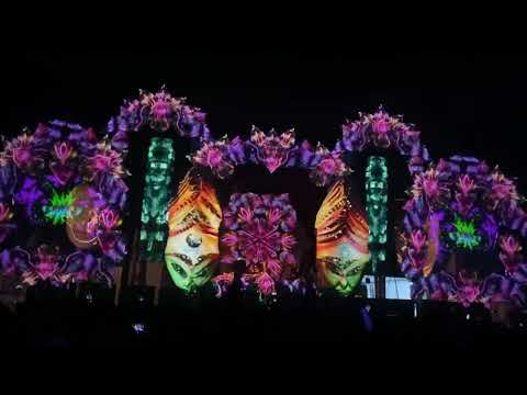 Captain Hook @ Baobá Festival 2022