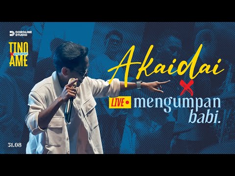 AngkamorLive #1 : Tino Ame x Angkamor - Akaidai, Mengumpan Babi