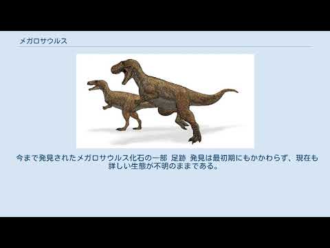 トルボサウルス・タンネリの復元骨格